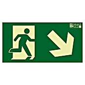 Cartel (Verde / amarillo, Salida bajar escalera derecha)