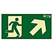 Cartel (Verde / amarillo, Salida subir escalera derecha)