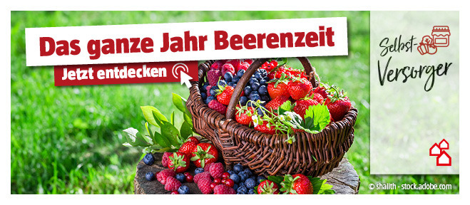 Tipps und Ideen zur Beerenverarbeitung entdecken