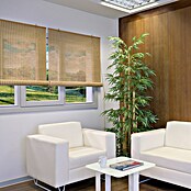 Estor enrollable Yute (An x Al: 100 x 190 cm, Cerezo, Unicolor) | BAUHAUS