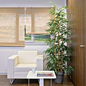 Estor enrollable Yute (An x Al: 100 x 190 cm, Cerezo, Unicolor) | BAUHAUS