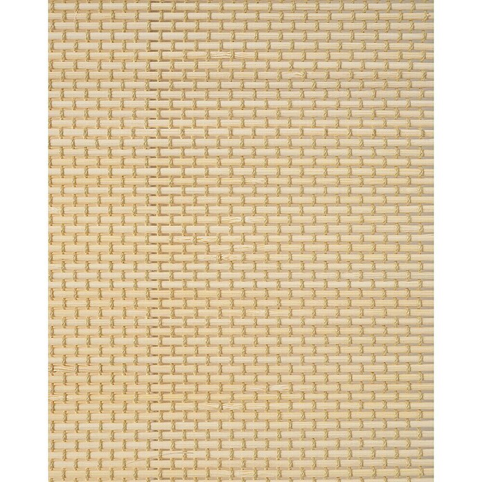 Estor enrollable de bambú (An x Al: 100 x 250 cm, Natural, Unicolor) | BAUHAUS