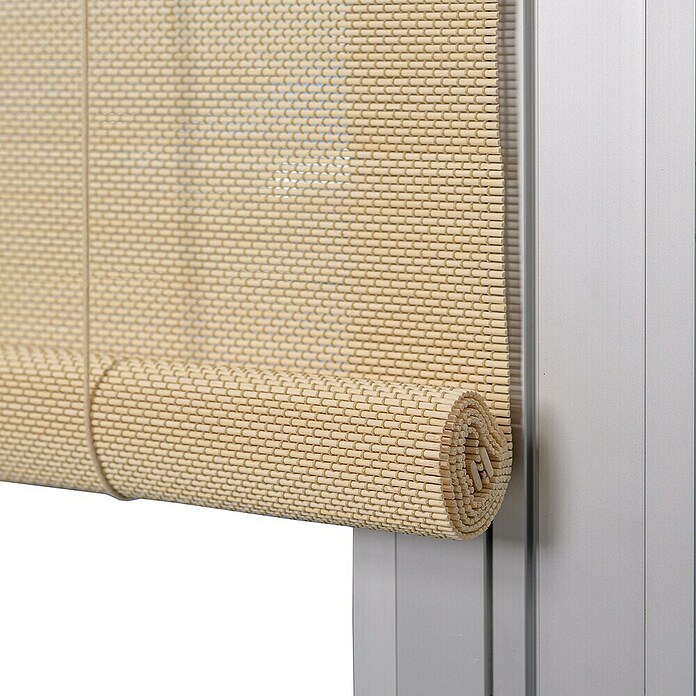 Estor enrollable de bambú (An x Al: 100 x 250 cm, Natural, Unicolor) | BAUHAUS