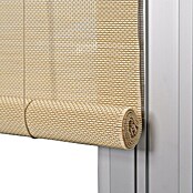 Estor enrollable de bambú (An x Al: 100 x 250 cm, Natural, Unicolor) | BAUHAUS