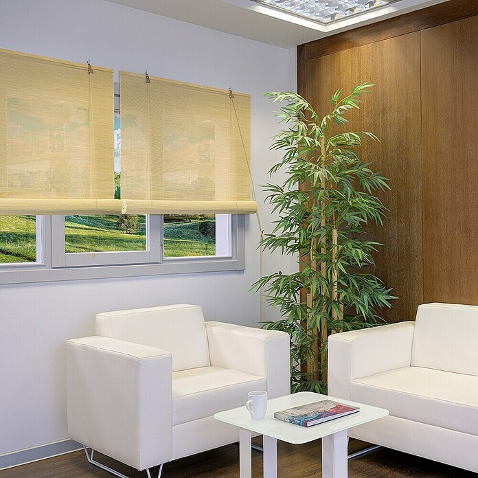 Estor enrollable de bambú (An x Al: 100 x 250 cm, Natural, Unicolor) | BAUHAUS
