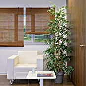Estor enrollable de bambú (An x Al: 100 x 190 cm, Nogal, Unicolor) | BAUHAUS