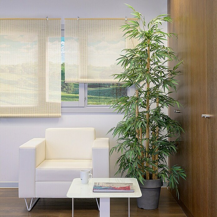 Estor enrollable Yute (An x Al: 150 x 190 cm, Blanco) | BAUHAUS