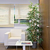 Estor enrollable Yute (An x Al: 150 x 190 cm, Blanco) | BAUHAUS