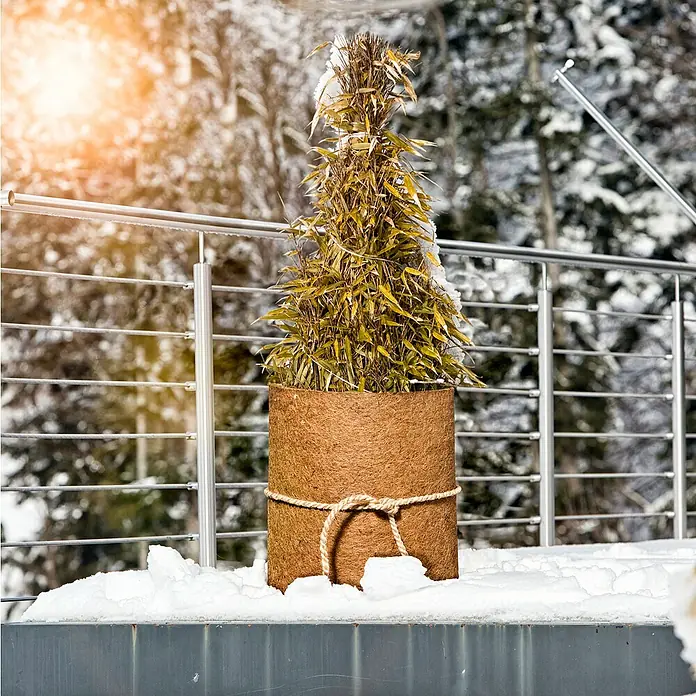Windhager Kokosschutzmatte - L x B x S: 1,5 m x 50 cm x 10 mm, Natur - Der braune Pflanztopf aus Jute mit Seil umwickelt ist winterlich geschmückt mit Schnee und einer filigranen Pflanze darin.