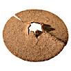 Windhager Kokosmulchscheibe Cocodisc (Durchmesser: 37 cm, Natur)