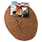 Windhager Kokosmulchscheibe Cocodisc (Durchmesser: 37 cm, Natur)