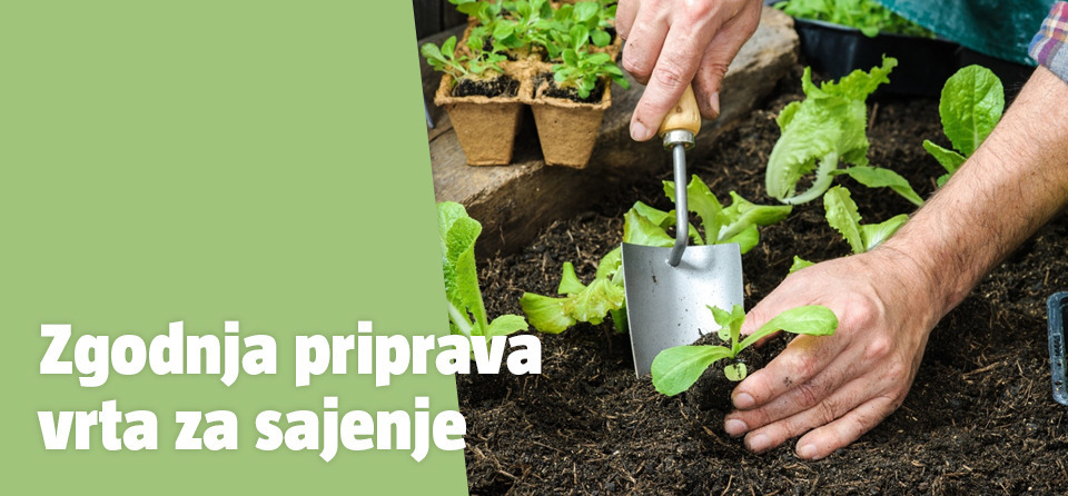 Prvo sajenje rastlin spomladi