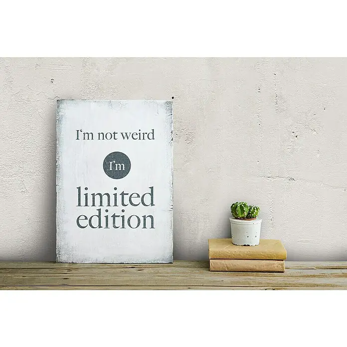 Grosfillex Wandpaneel Element 3D - Beton New York Weiss, 2.600 x 375 x 8 mm - Ein weißes Schild mit der Aufschrift „Ich bin nicht seltsam, ich bin eine limitierte Auflage“ und ein Kaktus auf Büchern.
