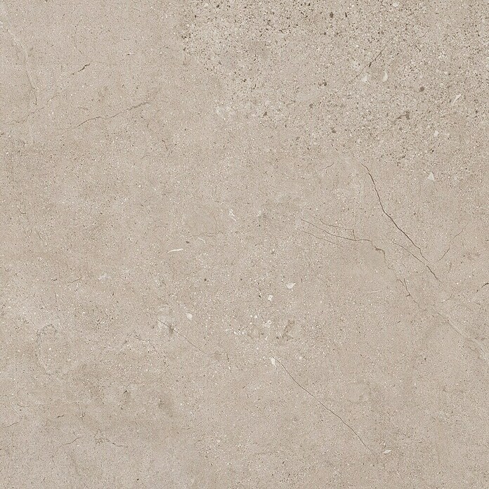 Grosfillex Wall+ Panel de pared GX (Beige, 120 cm x 60 cm x 5 mm) | BAUHAUS