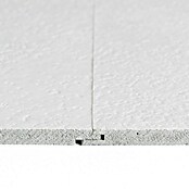 Grosfillex Wall+ Panel de pared GX (2.600 x 600 x 5 mm, Blanco) | BAUHAUS
