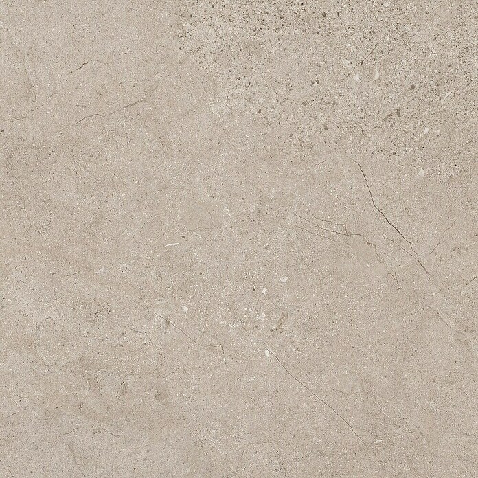 Grosfillex Wall+ Panel de pared GX (Crema, 260 cm x 60 cm x 5 mm) | BAUHAUS