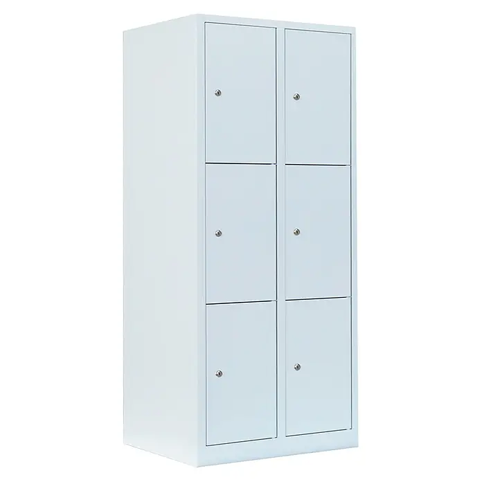 Lüllmann Schließfachschrank - H x B x T: 180 x 80 x 50 cm, Signalweiß, Fertig montiert, Anzahl Fächer: 6 Stk. - Weißer Metallschrank mit sechs Fächern und Schlössern zur sicheren Aufbewahrung von persönlichen Gegenständen. Ideal für Büros oder Schulen.