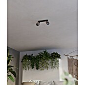 Eglo Regleta Rosley (40 W, Beige, E14) | BAUHAUS