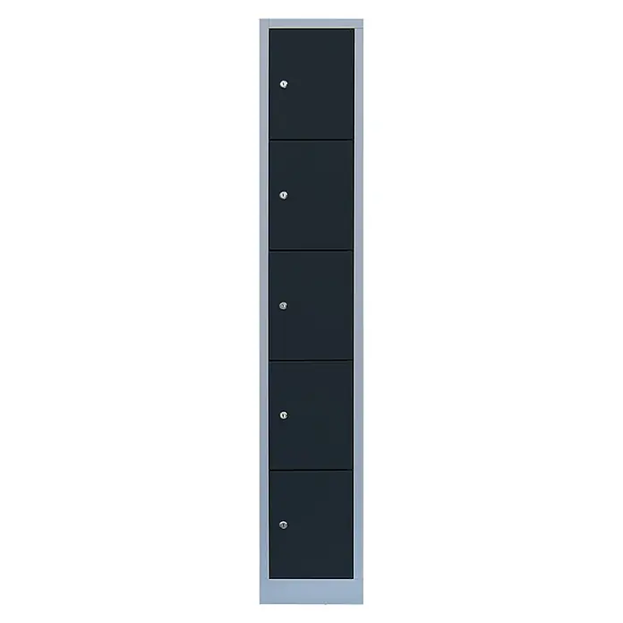 Lüllmann Schließfachschrank - H x B x T: 180 x 31,5 x 50 cm, Lichtgrau/Anthrazit, Fertig montiert, Anzahl Fächer: 5 Stk. - Ein schlanker, grauer Spind mit fünf abschließbaren Fächern, ideal zur sicheren Aufbewahrung persönlicher Gegenstände.