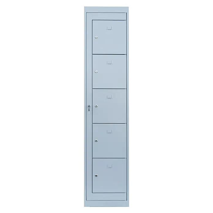Lüllmann Fächerschrank - H x B x T: 180 x 40 x 50 cm, Lichtgrau, Fertig montiert, Anzahl Fächer: 5 Stk. - Schmale graue Spind mit fünf abschließbaren Fächern. Ideal für Büros oder öffentliche Bereiche zur sicheren Aufbewahrung persönlicher Gegenstände.