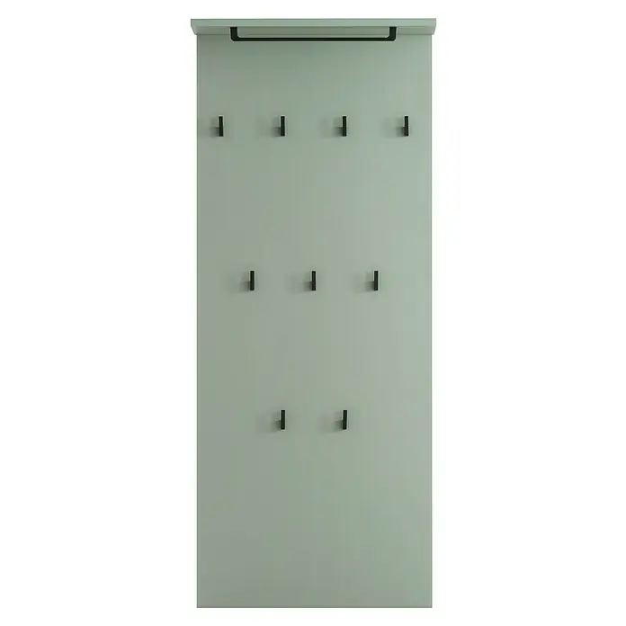 Schildmeyer Janne Garderobenpaneel - L x B x H: 20,9 x 50 x 110,6 cm, Pistazie - Elegante Garderobe mit minimalistischem Design und schwarzen Haken. Praktische Lösung zur Aufbewahrung von Jacken und Accessoires.