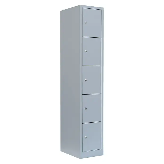 Lüllmann Schließfachschrank - H x B x T: 180 x 31,5 x 50 cm, Lichtgrau, Fertig montiert, Anzahl Fächer: 5 Stk. - Schmaler, grauer Metallschrank mit fünf abschließbaren Fächern. Ideal für Schulen, Büros oder Umkleideräume.