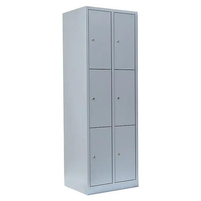 Lüllmann Schließfachschrank - H x B x T: 180 x 60 x 50 cm, Lichtgrau, Fertig montiert, Anzahl Fächer: 6 Stk. - Abbildung eines grauen Spindschranks mit sechs Fächern und Schlössern, ideal für Organisation.