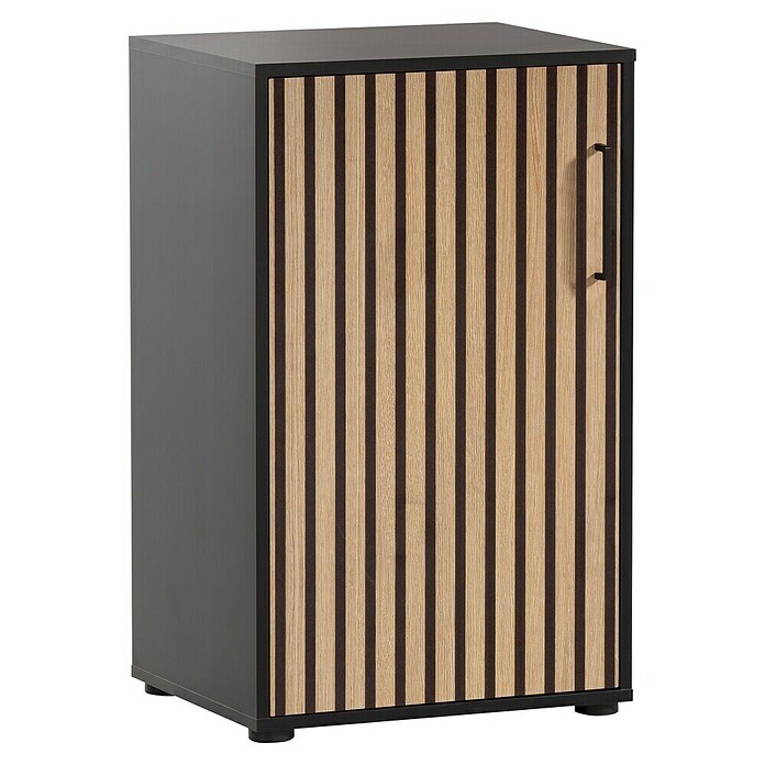 Schildmeyer Hank Schrank (L x B x H: 41 x 51 x 83,6 cm, Schwarz) | BAUHAUS