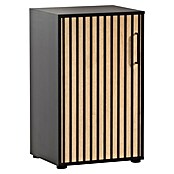 Schildmeyer Hank Schrank (L x B x H: 41 x 51 x 83,6 cm, Schwarz) | BAUHAUS