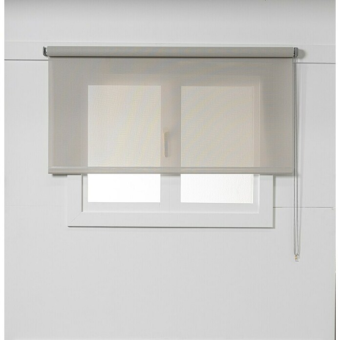 Estor enrollable Screen 5% (An x Al: 105 x 250 cm, Lino perla, Otros) | BAUHAUS