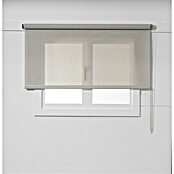 Estor enrollable Screen 5% (An x Al: 105 x 250 cm, Lino perla, Otros) | BAUHAUS