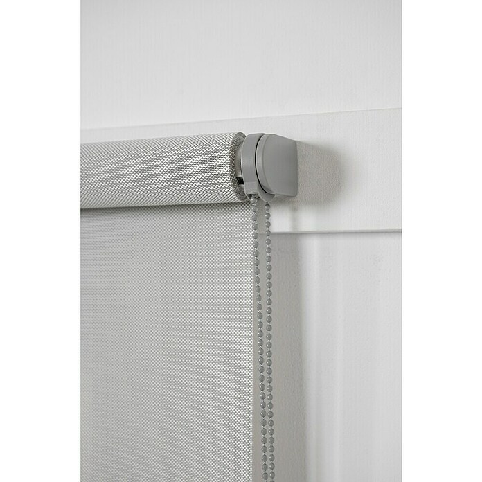 Estor enrollable Screen 5% (An x Al: 105 x 250 cm, Lino perla, Otros) | BAUHAUS