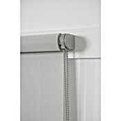 Estor enrollable Screen 5% (An x Al: 105 x 250 cm, Lino perla, Otros) | BAUHAUS