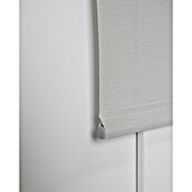 Estor enrollable Screen 5% (An x Al: 105 x 250 cm, Lino perla, Otros) | BAUHAUS