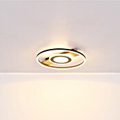 Globo LED stropna svjetiljka Pikara  (Smeđa, 24 W, Topla bijela) | BAUHAUS