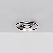 Globo LED stropna svjetiljka Pikara  (Smeđa, 24 W, Topla bijela) | BAUHAUS