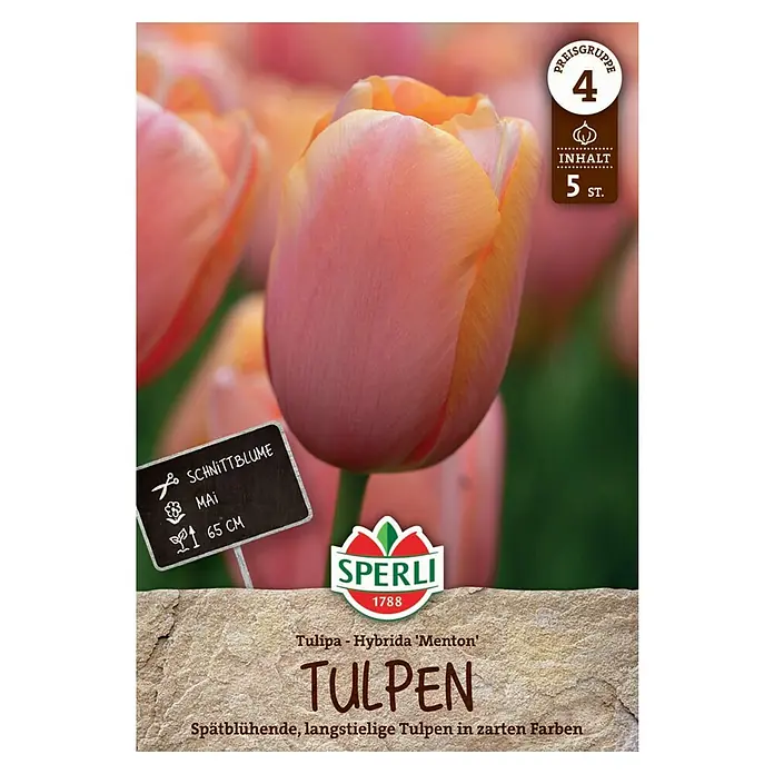 Sperli Blumenzwiebeln Einfache Späte Tulpe Menton - Tulipa x Hybrida, Rosa, 5 Stk. - Abbildung einer "Tulpen - Hybrida 'Menton'"-Produktverpackung von Sperli, die späte, langstielige Tulpen in sanften Farben zeigt.
