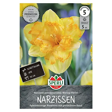 Sperli  Blumenzwiebeln Blazing Starlet