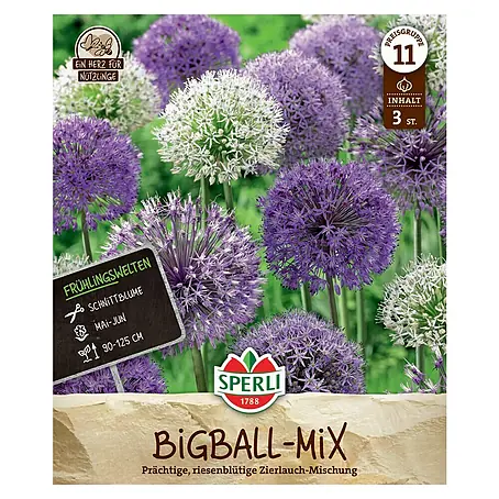 Sperli  Blumenzwiebeln Maxi Großblumiger Zierlauch Mischung