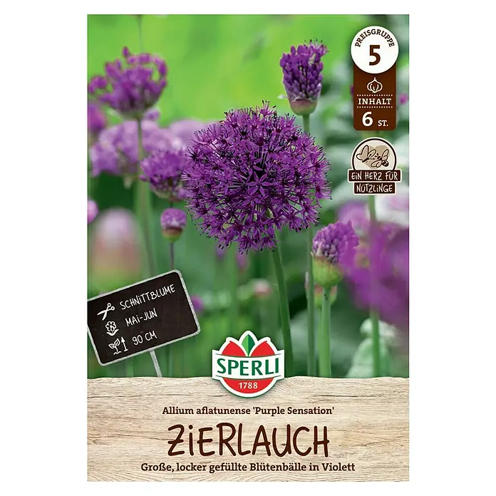 Sperli Blumenzwiebeln Zierlauch Purple Sensation - Allium aflatunense, 6 Stk., Violett - Packung Zierlauch 'Purple Sensation'. Die purpurfarbenen Blütenbälle sind ein echter Hingucker im Garten und eignen sich gut als Schnittblumen.