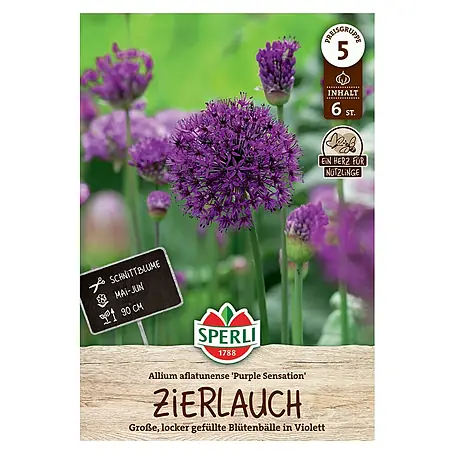 Sperli  Blumenzwiebeln Zierlauch Purple Sensation