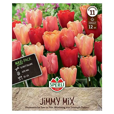 Sperli  Blumenzwiebeln Maxi Triumph-Tulpen Jimmy Mix