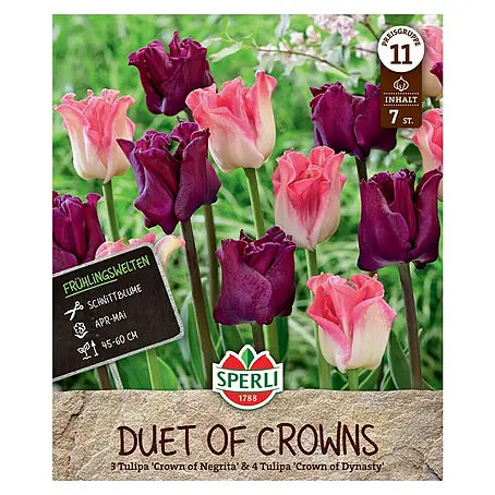 Sperli  Blumenzwiebeln Frühlingsgarten Duet of Crowns
