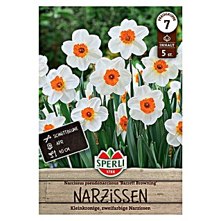 Sperli Bloembollen Kleingekroonde narcis Barrett Browning (Narcissus pseudonarcissus, 5 st.)