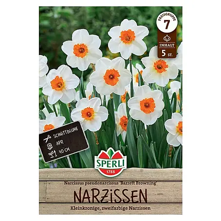 Sperli  Blumenzwiebeln Kleinkronige Narzisse Barrett Browning