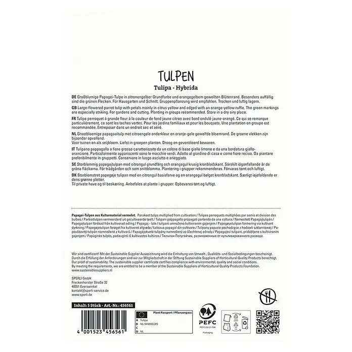 Sperli Blumenzwiebeln Papagei-Tulpe Parrot King - Tulipa x Hybrida, 5 Stk. - Produktverpackung Tulpen-Hybrida.