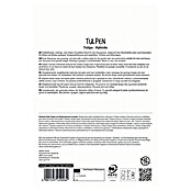 Sperli Bloembollen Enkele Vroege Tulp 'Flair' (Tulipa x Hybrida, 5 st.) | BAUHAUS