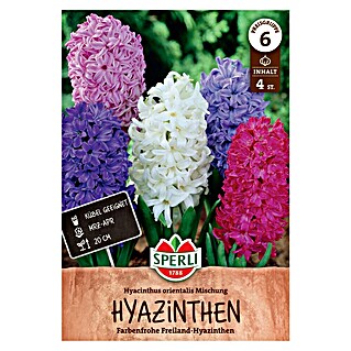 Sperli Bloembollen Hyacintmix (Hyacinthus orientalis, 4 st.)
