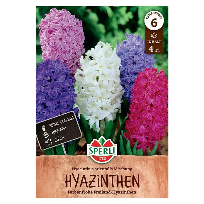 Sperli Blumenzwiebeln Hyazinthen Mischung - Hyacinthus orientalis, 4 Stk. - Hyazinthen-Mischung von Sperli, ideal für farbenfrohe Frühlingsbeete. Die Packung enthält 4 Stück und ist für Kübel geeignet.