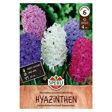 Sperli  Blumenzwiebeln Hyazinthen Mischung